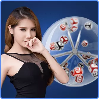 24Dspin